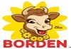 Borden Dairy Logo